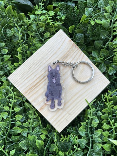 Black german shepherd gsd - german,