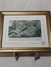 Stephen Gayford Mountain