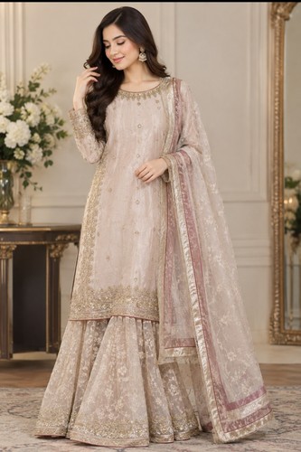 Organza dress asian pakistani - organza,