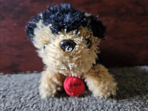 Cute yorkshire terrier - cute,