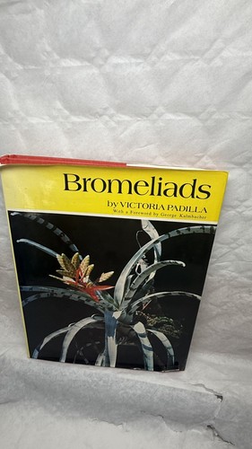 Bromeliads victoria padilla - bromeliads,
