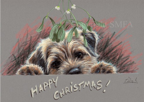 Border terrier christmas card - border,
