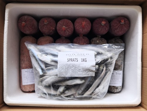 Sprat mix frozen - mix, raw