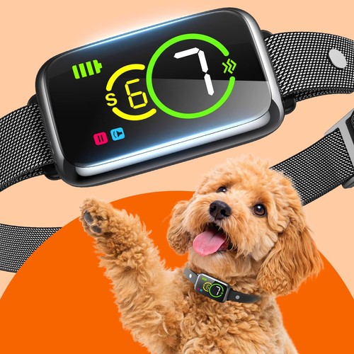 Stop barking smart dog - dog, bark