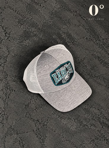 Philadelphia eagles grey white - eagles,
