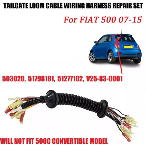 Tailgate wiring loom - wiring, repair