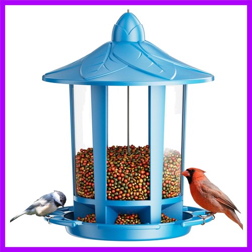 Bird feeders for outdoor - bird,