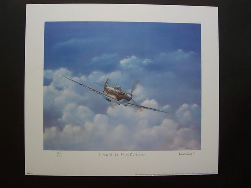 Raf supermarine spitfire print - raf,