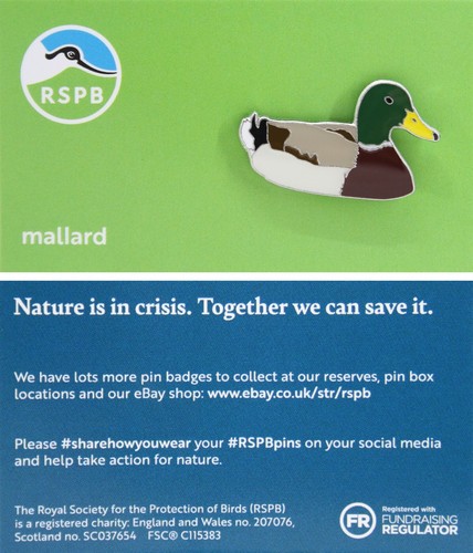 Rspb pin badge - pin,
