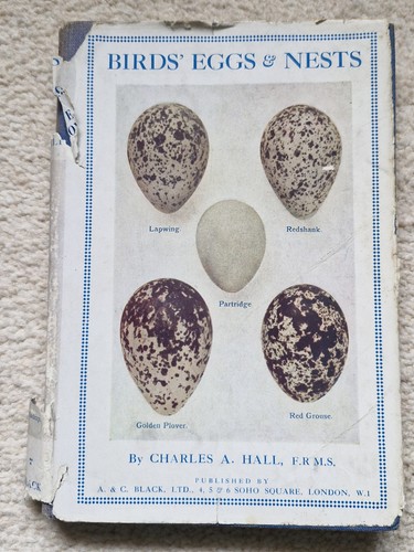 Birds eggs nests by - eggs, charles