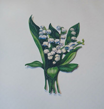 TWO RED ROBINS LILY OF THE