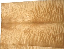 Shell Maple Veneer Quilted