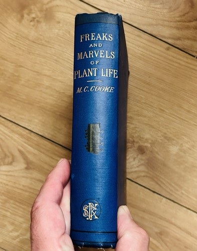 1882 freaks and marvels - and, of