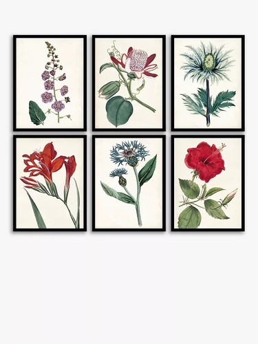 New john lewis garden - new,