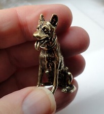 Old stock small - mini, dog