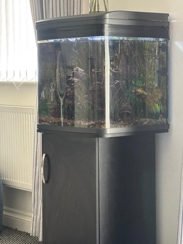 Litre love fish tank - 94,