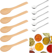 10 PCS Small Spoons for Spices