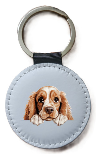 American cocker spaniel - cocker,
