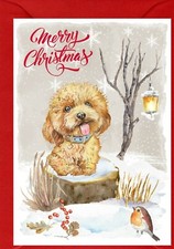 Poodle (Apricot) Dog A6 (4"x