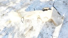 Honda CR-V 2008 Windshield Washer Reservoir Tank (WASHER BOTTLE) E #2105766-42