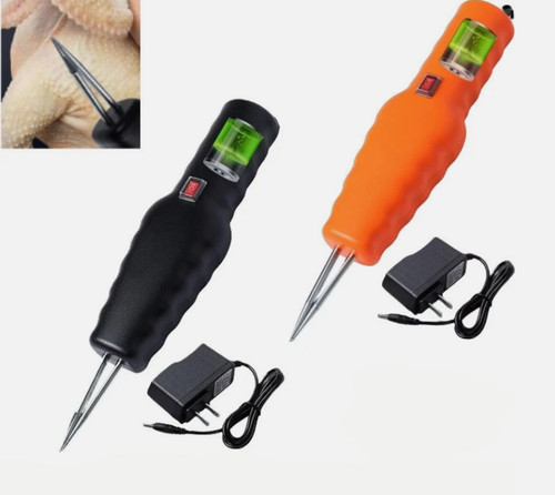 2024 electric poultry - electric, feather