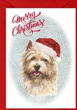 Norwich Terrier Dog A6 (4"x