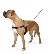 Ancol/Pure Dog Listeners -