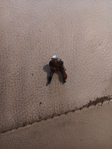 Games workshop horse rider - games,