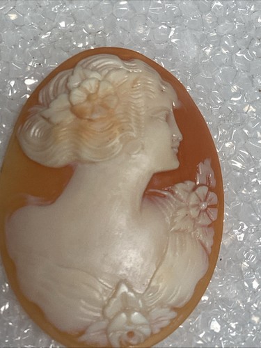 40mm 30mm antique - antique, shell