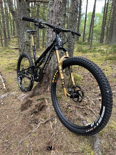 Saracen ariel factory - ariel,