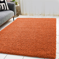 Fluffy Rugs Anti-Slip Large