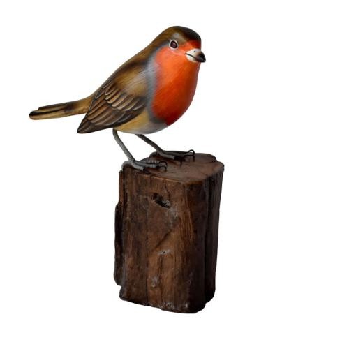 Robin tree trunk - on, hand