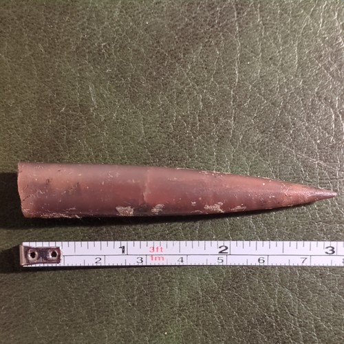 Fossil belemnite jurassic uk - belemnite,,