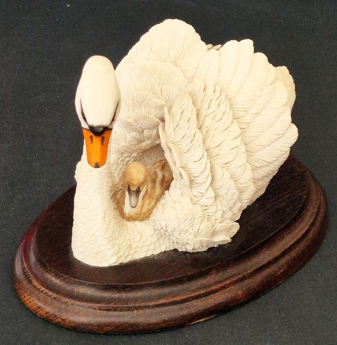 Country artists swan cygnet - country,