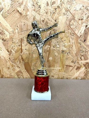 Martial arts trophies male and - arts,