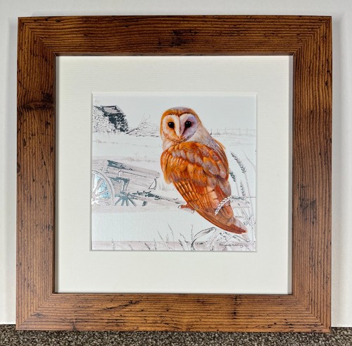 Barn owl framed print - owl, by
