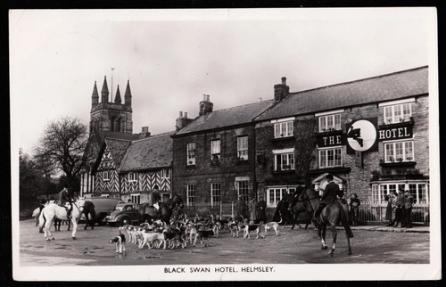 Black swan hotel fox hunt - swan,