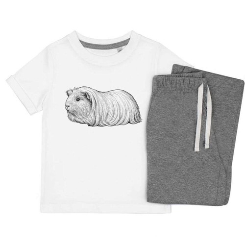Long haired guinea pig - 'long,