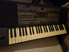 Roland EG101 (Light Domestic Use) 