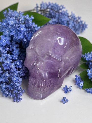 Rare amethyst skull - skull, crystal