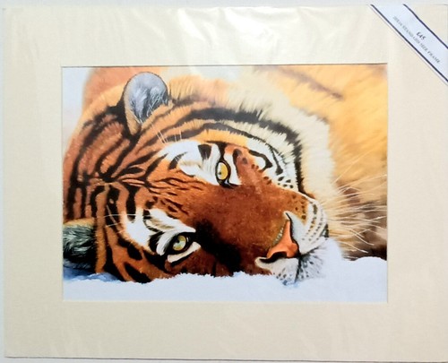 Tiger face print of - face,,