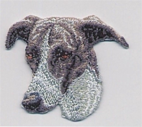 2 1 4 grayhound - 1,