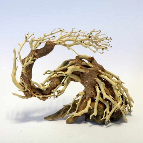 Betta dragon tree 22x15x10cm - dragon,