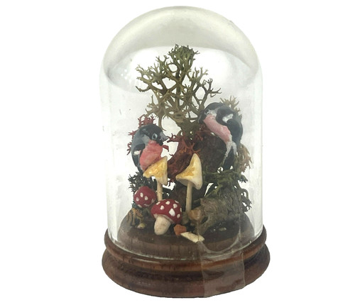 Miniature bullfinch taxidermy - miniature,