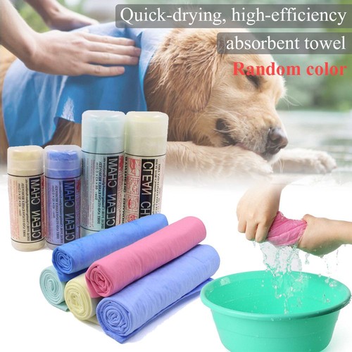 Water absorption pet - dog, cat