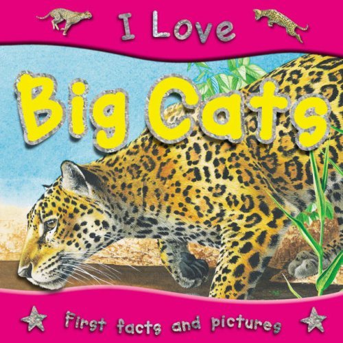 Love big cats steve - i,