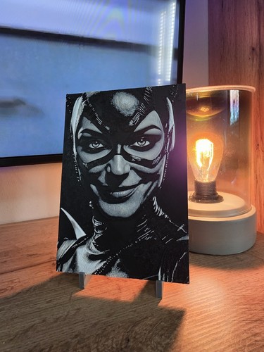Printed fan art catwoman - 3d,