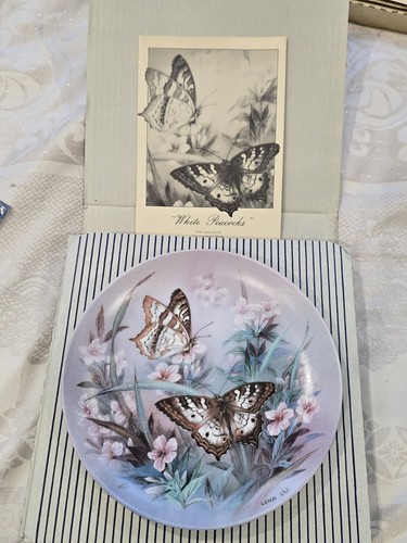 White peacocks collector - collector, plate