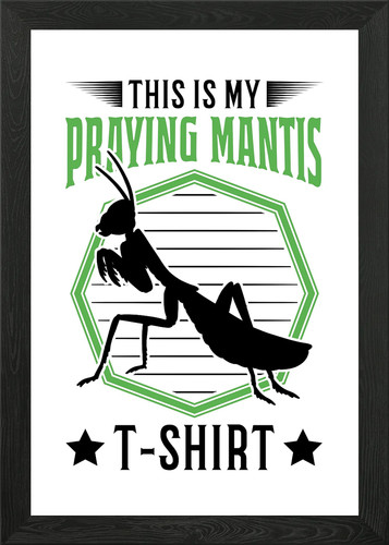 This praying mantis - my,