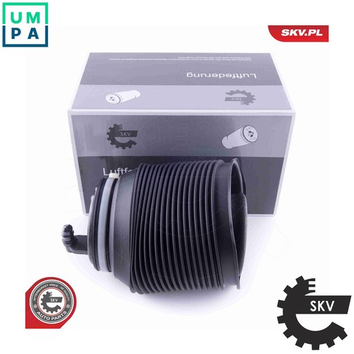 Air spring suspension 58skv006 - suspension,